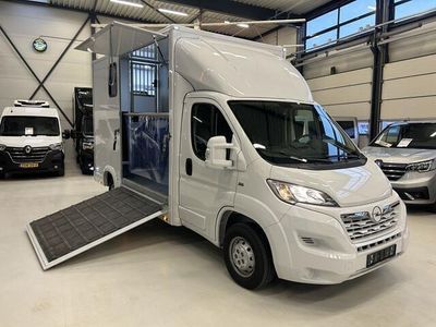 tweedehands Opel Movano 2.2 Paardenwagen Hengsten Uitvoering Airco Cruisecontrol NIEUW