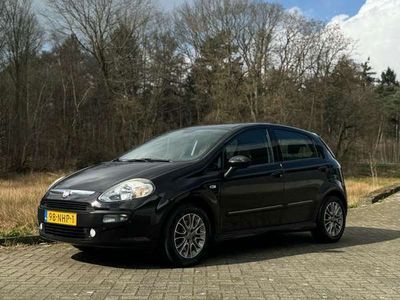 tweedehands Fiat Punto 1.3 M-Jet Dynamic