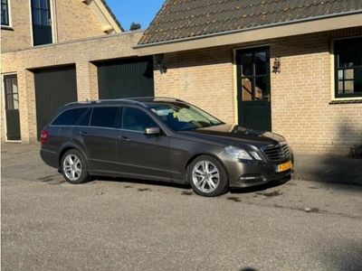 tweedehands Mercedes 220 E-KLASSE EstateCDI Business Class Avantgarde