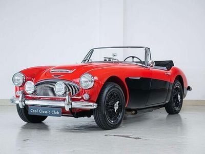 Rood Gebruikt 1964 Austin Healey 3000 MK III Cabriolet | € 67.500