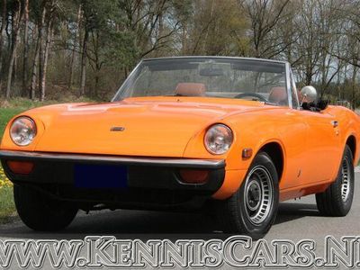 Jensen Healey