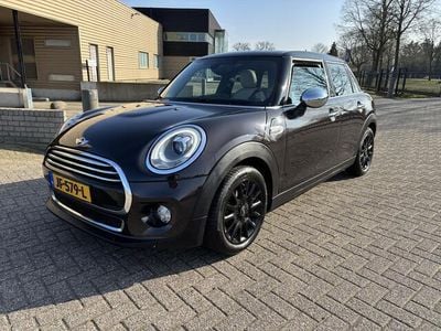 Occasion Mini Cooper Business 136 PK (100 kW) 2016 Bruin, metallic lak Hatchback