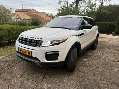 Occasion Land Rover Range Rover 241 PK (177 kW) 2019 SUV