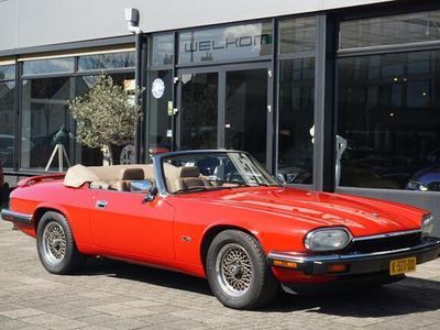 Jaguar XJS