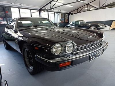 Jaguar XJS