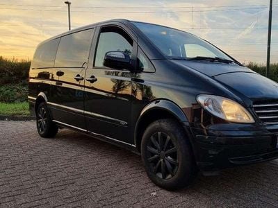 Mercedes Viano