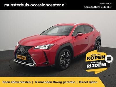 Occasion Lexus UX 250h Business Edition 152 PK (111 kW) 2020 Rood SUV