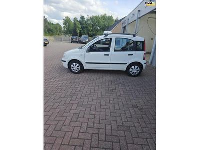 Wit Occasion 2009 Fiat Panda Hatchback | € 3.450 (Eerlijke prijs)