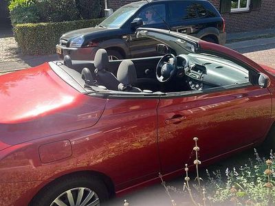 Rood Gebruikt 2006 Nissan Micra Tekna Hatchback | € 2.600 (Iets duurder)