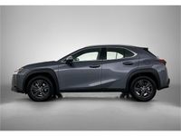 Occasion Lexus UX 184 PK (135 kW) 2024 Grijs SUV