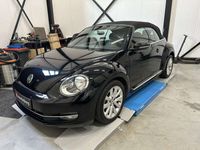 tweedehands VW Beetle Cabriolet 1.2 TSI Design BlueMotion Sport stoelen