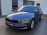 Occasion Skoda Octavia Selection 2024 Grijs Stationwagen