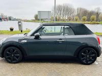Occasion Mini Cooper S Cabriolet Chili 192 PK (141 kW) 2016 Grijs Cabriolet