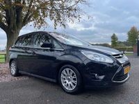 tweedehands Ford Grand C-Max 1.6 EcoBoost Titanium 7 persoons