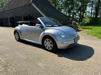 tweedehands VW Beetle NewCabriolet 1.6 Turijn Comfort. Eerste eigenaar !!!