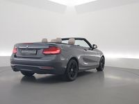 Occasion BMW 220 189 PK (139 kW) 2018 Grijs (metallic) Cabriolet