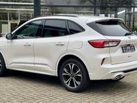 tweedehands Ford Kuga 2.5 PHEV ST-LINE X Driver +19inch+Winter pack