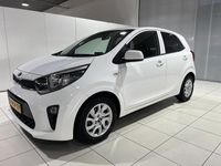 Occasion Kia Picanto 67 PK (49 kW) 2020 Wit Hatchback