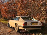 Occasion Jaguar XJS 295 PK (216 kW) 1986