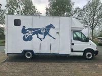 tweedehands Renault Master 2.5dCi CargoVan Paardenauto Marge/Prive