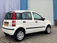 tweedehands Fiat Panda Panda 1.2 AARDGAS