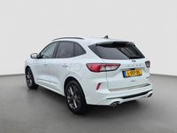 Occasion Ford Kuga ST-Line 2021 Wit SUV