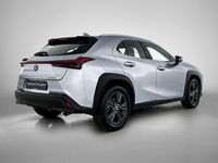 Occasion Lexus UX 184 PK (135 kW) 2024 Grijs SUV