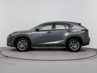 Occasion Lexus NX300h Business Edition 197 PK (144 kW) 2020 Grijs SUV