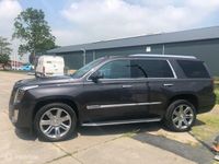 tweedehands Cadillac Escalade 6.2 V8 Platinum