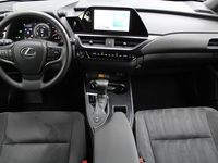 Occasion Lexus UX 250h 184 PK (135 kW) 2024 Grijs SUV