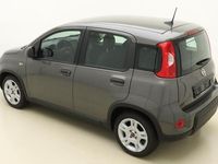 tweedehands Fiat Panda 1.0 Hybrid | NIEUW | Airco | Multimedia | Hogere zitpositie | Zuinige motor