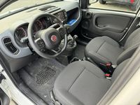 tweedehands Fiat Panda Cross 1.0 Hybrid