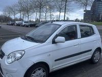 Occasion Kia Picanto 63 PK (46 kW) 2011 Wit Hatchback