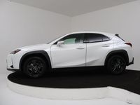 Occasion Lexus UX 184 PK (135 kW) 2024 Wit SUV