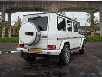 Afbeelding 3