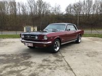 Occasion Ford Mustang 228 PK (167 kW) 1966 Rood