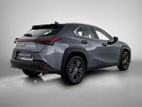 Occasion Lexus UX 184 PK (135 kW) 2024 Grijs SUV