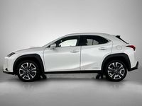 Occasion Lexus UX 250h 184 PK (135 kW) 2022 Wit SUV