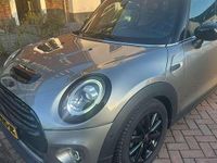 Occasion Mini Cooper Chili 136 PK (100 kW) 2020 Beige Hatchback