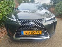 tweedehands Lexus UX 250h First Edition Navi/PDC/NL auto