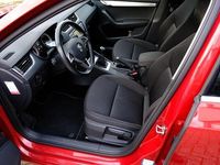 Occasion Skoda Octavia Business Line 150 PK (110 kW) 2016 Rood Hatchback