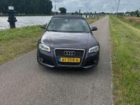 Afbeelding 3