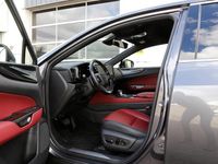 Occasion Lexus NX350h 242 PK (177 kW) 2022 Grijs SUV