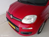 tweedehands Fiat Panda 0.9 TwinAir Edizione Cool