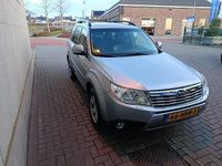 Occasion Subaru Forester Premium 150 PK (110 kW) 2009 Grijs SUV