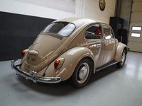 tweedehands VW Beetle (NEW) Beautiful Driver Restored (1967)