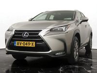 Occasion Lexus NX300h Business Edition 2017 Grijs SUV