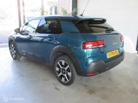 tweedehands Citroën C4 Cactus 1.2 PureTech Business Plus