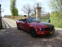 tweedehands Ford Mustang 4.0 V6 206PK CABRIOLET - AIRCO - LEDER - AUTOMAAT