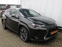 tweedehands Lexus UX 250h Business Line AppleCarPlay/AndroidAuto, cruise, climate, stuur- en voorstoelen verwarmd,